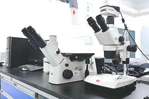 光学显微镜